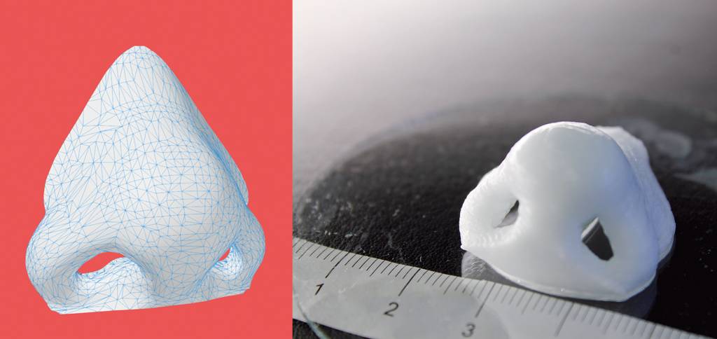 3d print conference kiev. 3D-печать поможет добиться идеальной формы носа